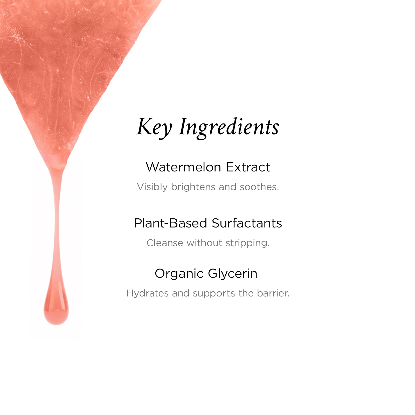 Product label with key ingredients including watermelon extract, plant-based surfactants, and organic glycerin on a white background.