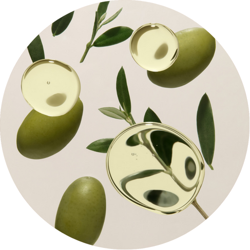 Round coaster with green olives and olive branches on a beige background
