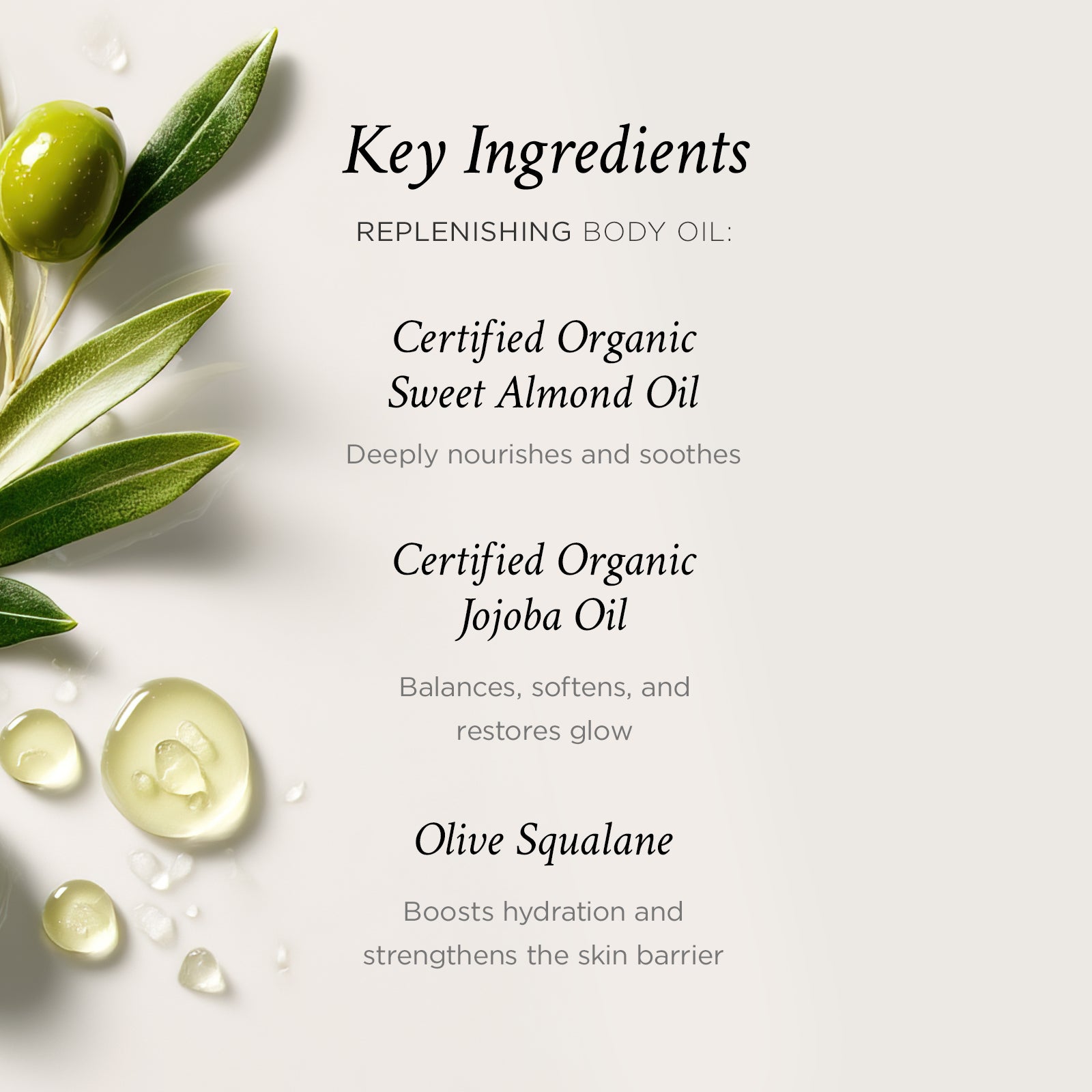 Key ingredients of a replenishing body oil with olive leaves and oil droplets on a white background.